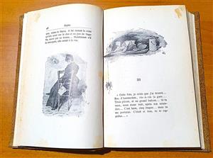 Expozi?ia temporara de carte online  “«Sappho» de Alphonse Daudet în Biblioteca lui O. Goga de la Ciucea”