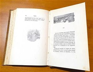 Expozi?ia temporara de carte online  “«Sappho» de Alphonse Daudet în Biblioteca lui O. Goga de la Ciucea”